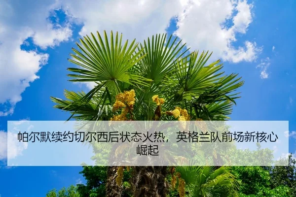 pa-er-mo-xu-yue-qie-er-xi-hou-zhuang-tai-huo-re-ying-ge-lan-dui-qian-chang-xin-he-xin-jue-qi-3-478.jpg