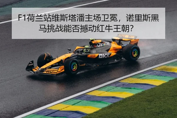 he-lan-zhan-wei-si-ta-pan-zhu-chang-wei-mian-nuo-li-si-hei-ma-tiao-zhan-neng-fou-han-dong-hong-niu-wang-chao-3-687.jpg