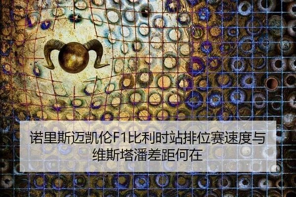 nuo-li-si-mai-kai-lun-bi-li-shi-zhan-pai-wei-sai-su-du-yu-wei-si-ta-pan-cha-ju-he-zai-3-982.jpg