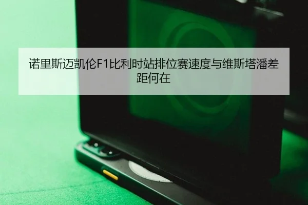 诺里斯迈凯伦F1比利时站排位赛速度与维斯塔潘差距何在